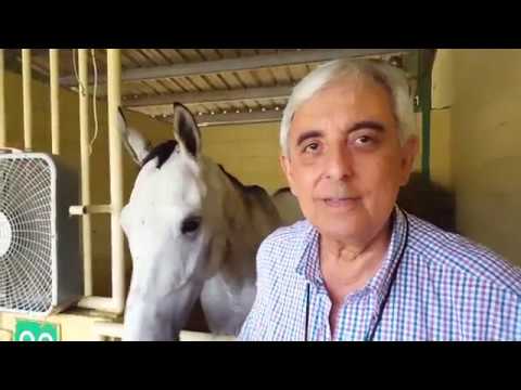 Rafael Fernández busca coronar a El Príncipe en la Copa Velocidad