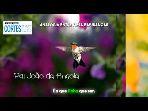 Cortes DcE #617 -Analogia entre dieta e mudanças-  Pai João da Angola