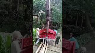 Download lagu Saung Grajen instalasi prahu batak.karya mas iskandar  dan dik.Iwan utk pemeran  kak magda. 4 okt mp3