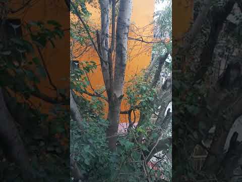 Chandiranillada aa baaninalli