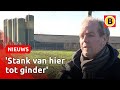 Steeds meer Brabantse boeren bouwen megastallen nét over de grens | Omroep Brabant