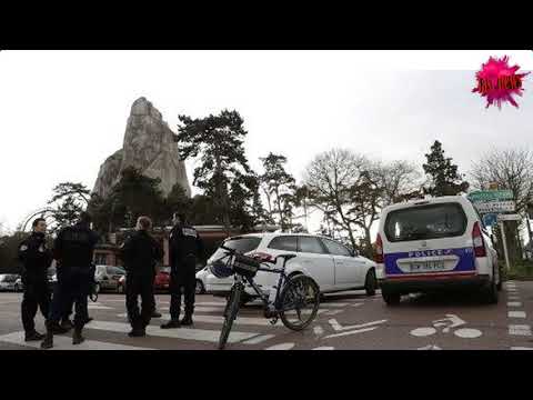 France: Paris zoo evacuated and temporarily shut after around 50 baboons escape