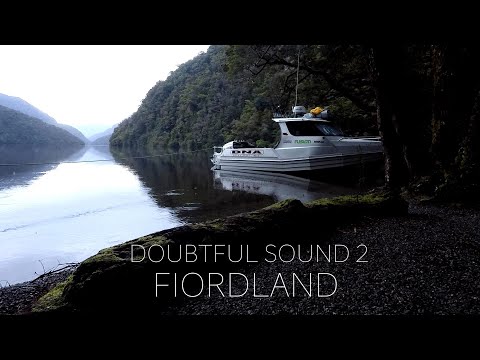 NEW ZEALAND Wilderness - Doubtful Sound #2 FIORDLAND hunting and diving and fishing
