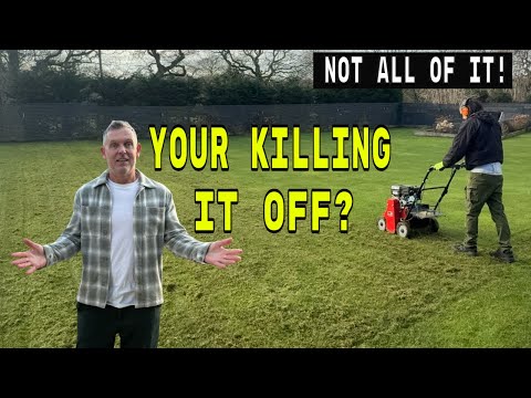 This is not for the FAINT HEARTED. KILLING YOUR LAWN 