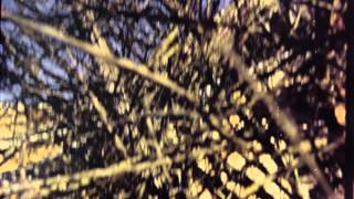 Strangers From Now On - Control