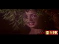 Paaradi Kuyile Paasa Malarkalai Remastered Naangal 1992 Swarnalatha