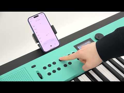 Zuhal Youtube Videos