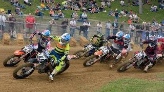 preview picture of video '2014 Peoria TT - Pro Singles Main Event - AMA Pro Flat Track'