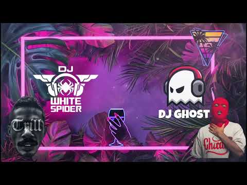 Mini Mix - Dj White Spider & Dj Ghost - هوبيه 2 - 2024