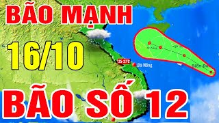 Dự báo thời tiết hôm nay và ngày mai 16/10 | Tin Bão Số 12 mới nhất  Dự báo thời tiết 3 ngày tới