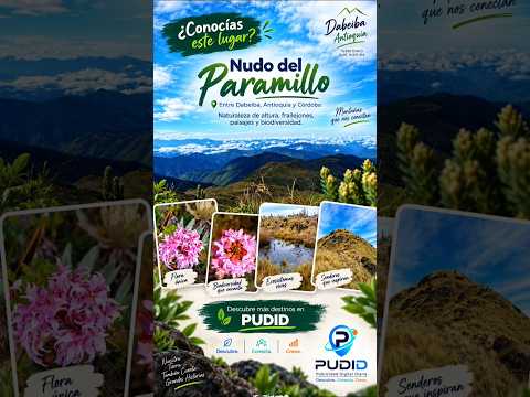 𝐍𝐔𝐃𝐎 𝐃𝐄𝐋 𝐏𝐀𝐑𝐀𝐌𝐈𝐋𝐋𝐎Un tesoro natural entre 𝐃𝐚𝐛𝐞𝐢𝐛𝐚, 𝐀𝐧𝐭𝐢𝐨𝐪𝐮𝐢𝐚 🌿⛰️ #turismo #dabeiba #antioquia