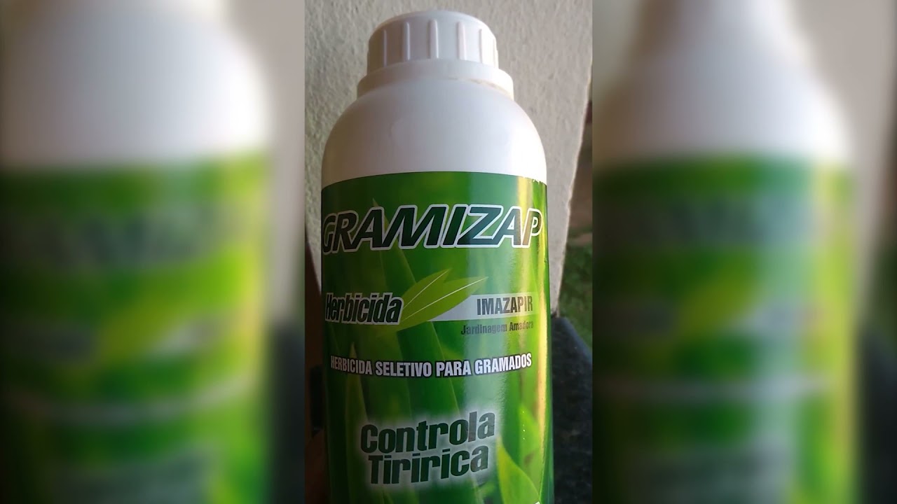 Como eliminar a tiririca do seu gramado com herbicida Gramizap