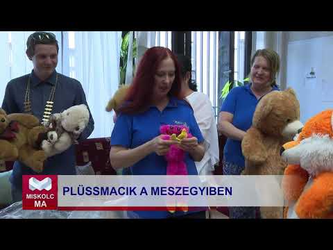 Videó előnézet