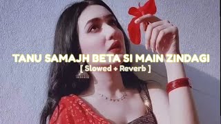 Download lagu TANU SAMAJH BETA SI MAIN ZINDAGI LOFI SONG | SLOWED REVERB SONG | @slowreverb5249 #lofi mp3 Download lagu TANU SAMAJH BETA SI MAIN ZINDAGI LOFI SONG | SLOWED REVERB SONG | @slowreverb5249 #lofi mp3