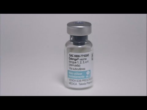 Brazil to start a vaccination campaign against dengue fever | AFP