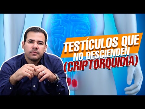 Testículos que NO BAJAN o descienden