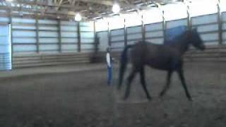 Tip for the Ride - Lunging Positioning.wmv