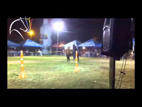 Trote y Galope - Renacer de la Bodega del Caballo