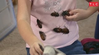 Obsessed with Collecting Cockroaches | My Kid's Obsession