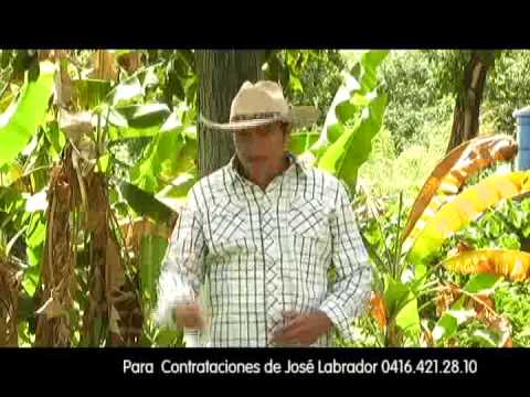 José Labrador    Mi Quirpa Legendaria