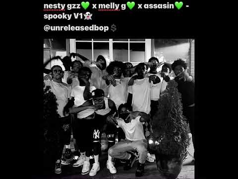 nesty gz x melly g x assasin ￼- spooky v1 ( unreleased check description )