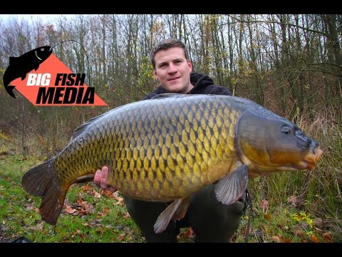 Karpfenangeln - Angeln mit gedippten und ungedippten Boilies