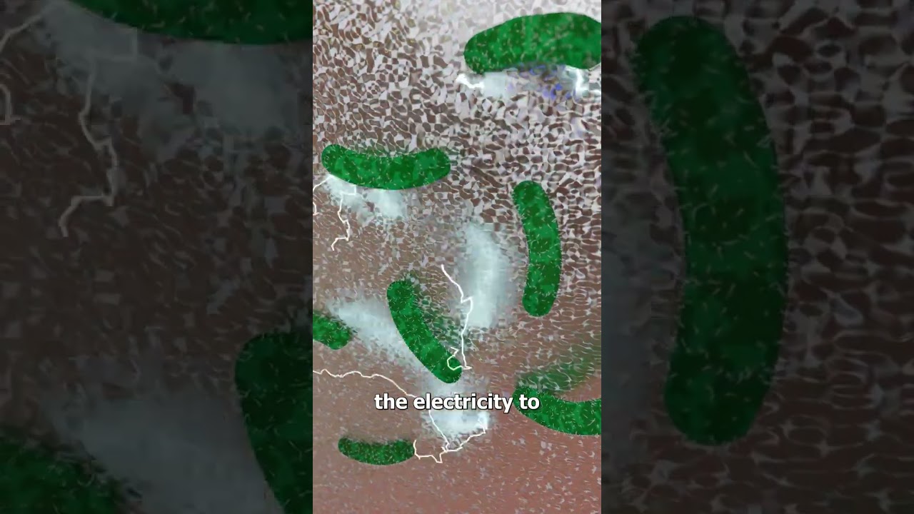 Smart Dental Implants 🤔 (explained)