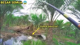 Download lagu NGERI PAK!!! KEGANASAN GABUS BABON SAAT MELAWAN JORAN TEGEK PEMANCING BIKIN DREDEG mp3