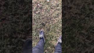 LOOK INTO THE SUN, FIND YOURSELF, THIS WORLD IS OURS!