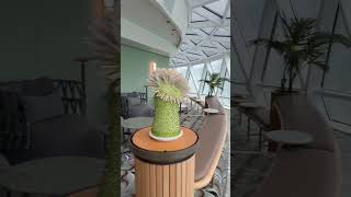 Celebrity Edge Eden #alaskacruisevlog #celebritycruises #cruiseline #cruise #cruiseship #travel