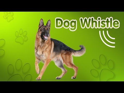 Dog Whistle, Trainer video thumbnail