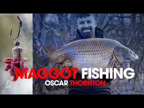 Maggot Fishing- Oscar Thornton