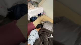 遊びたいミーアキャットと寝たい主。미어캣(meerkat)#shorts