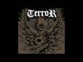 Terror - What I Despise 