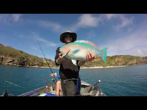 Offshore Reef Fishing Tropical Islands QLD, Australia