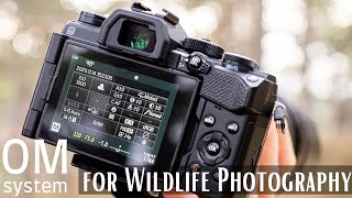 OM System for Wildlife Photography Course