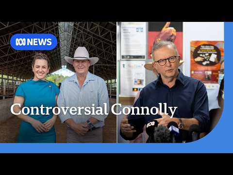 Albanese asked to ‘urgently rescind’ appointment of NT administrator | ABC NEWS