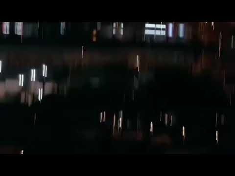 Moha The B, Stee Ferrer - AHORA QUIEREN (Video Oficial)