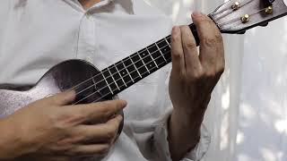 The Christmas Song  (Chestnuts Roasting On An Open Fire)