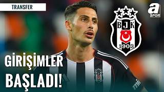 Beşiktaş’ta Mandragora Harekatı Resmen Başladı