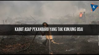 Download lagu Kabut Asap Pekanbaru yang Tak Kunjung Usai mp3