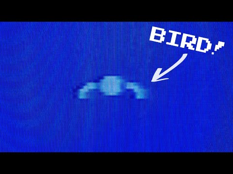 The Bird - C64 Retro Programming