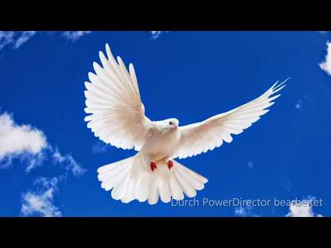 Botez-Biserca Vestea Buna Iacobeni 12.08.2018