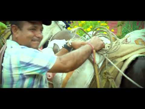 Tradición y orgullo campesino se celebran en los 40 años de San Francisco en Antioquia
