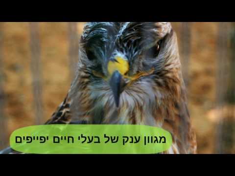 תמונה של פארק ארץ הצבי