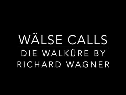 Longest Wälse calls?