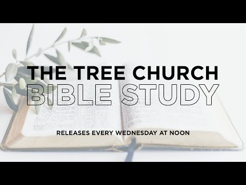 Deuteronomy 25: 1-19