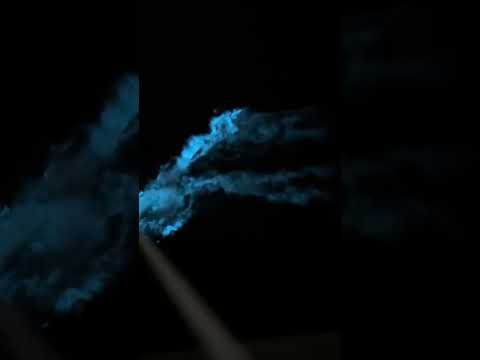 Bio luminescence in a Florida Canal