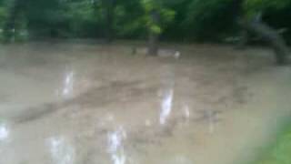 preview picture of video 'Guadalupe river flood in New Braunfels, TX 6/09/10'