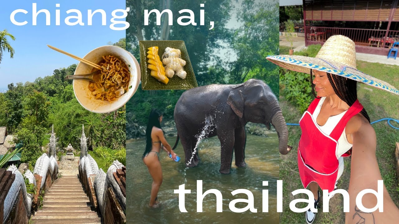SOLO IN CHIANG MAI | THAI COOKING CLASS, ELEPHANT SANCTUARY, TEMPLES, & MORE